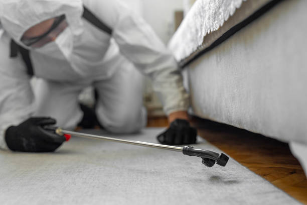 Professional Bed Bug Control technician working in Dimmitt, TX